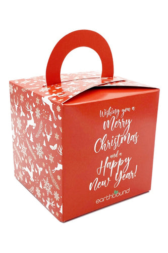EB  Merry Christmas Multi Fragrance Fizz Ball Gift Box